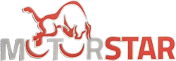 Logo MOTORSTAR SCOOTER E MOTO