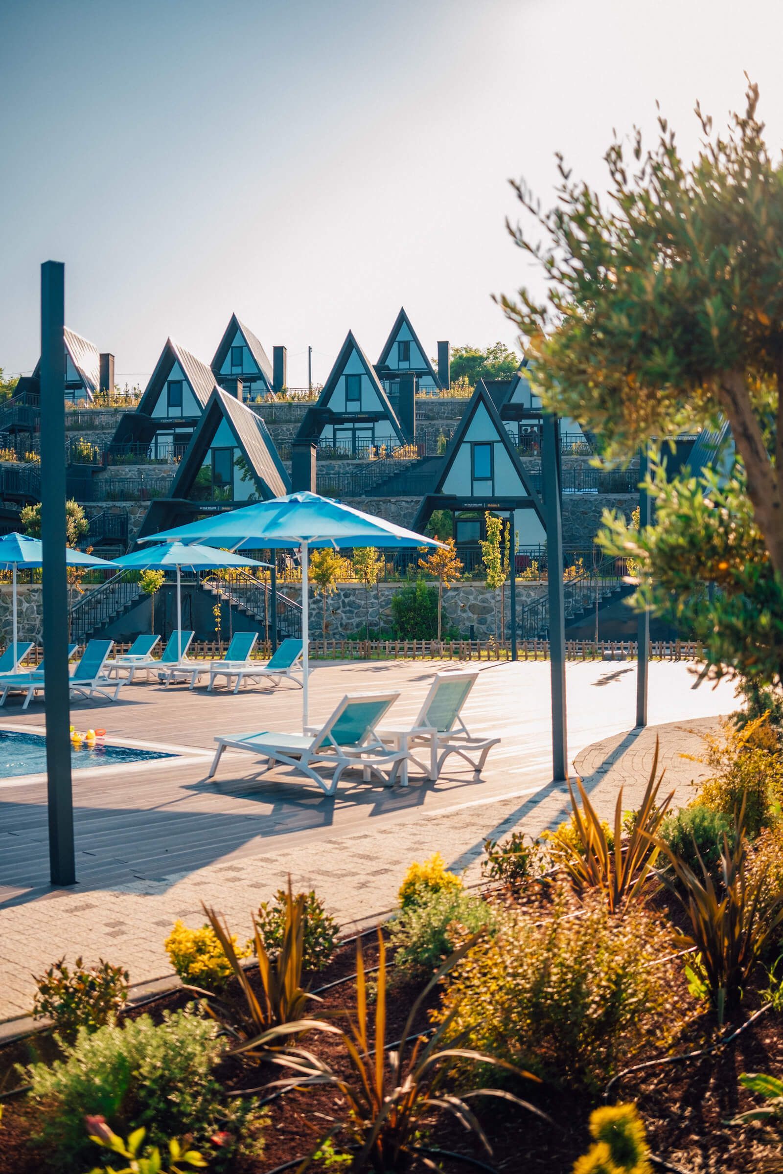 World Dreams Forest Bungalov