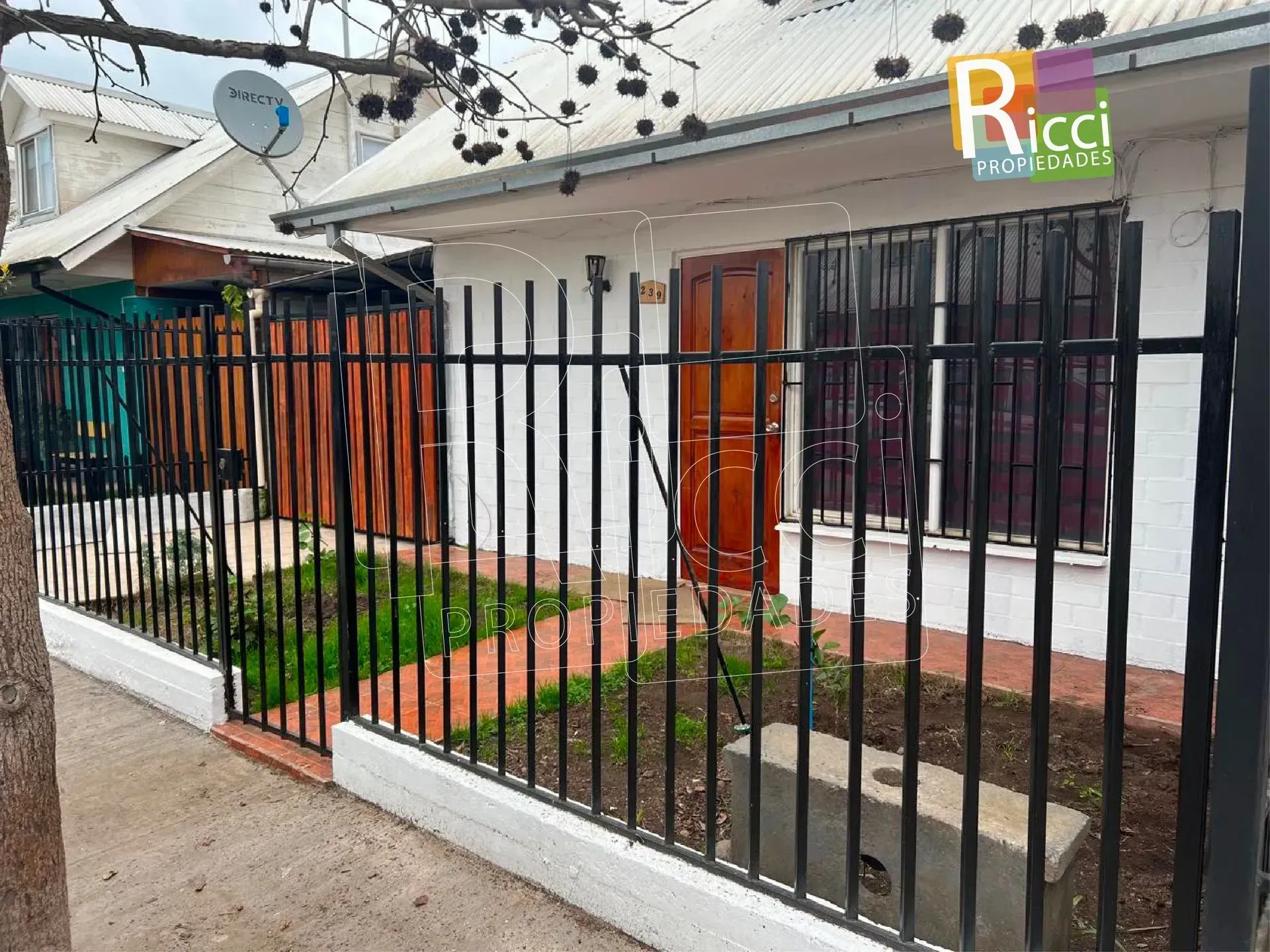 Casa blanca con valla metálica negra, pequeño jardín delantero y entrada pavimentada bajo guirnaldas de luces