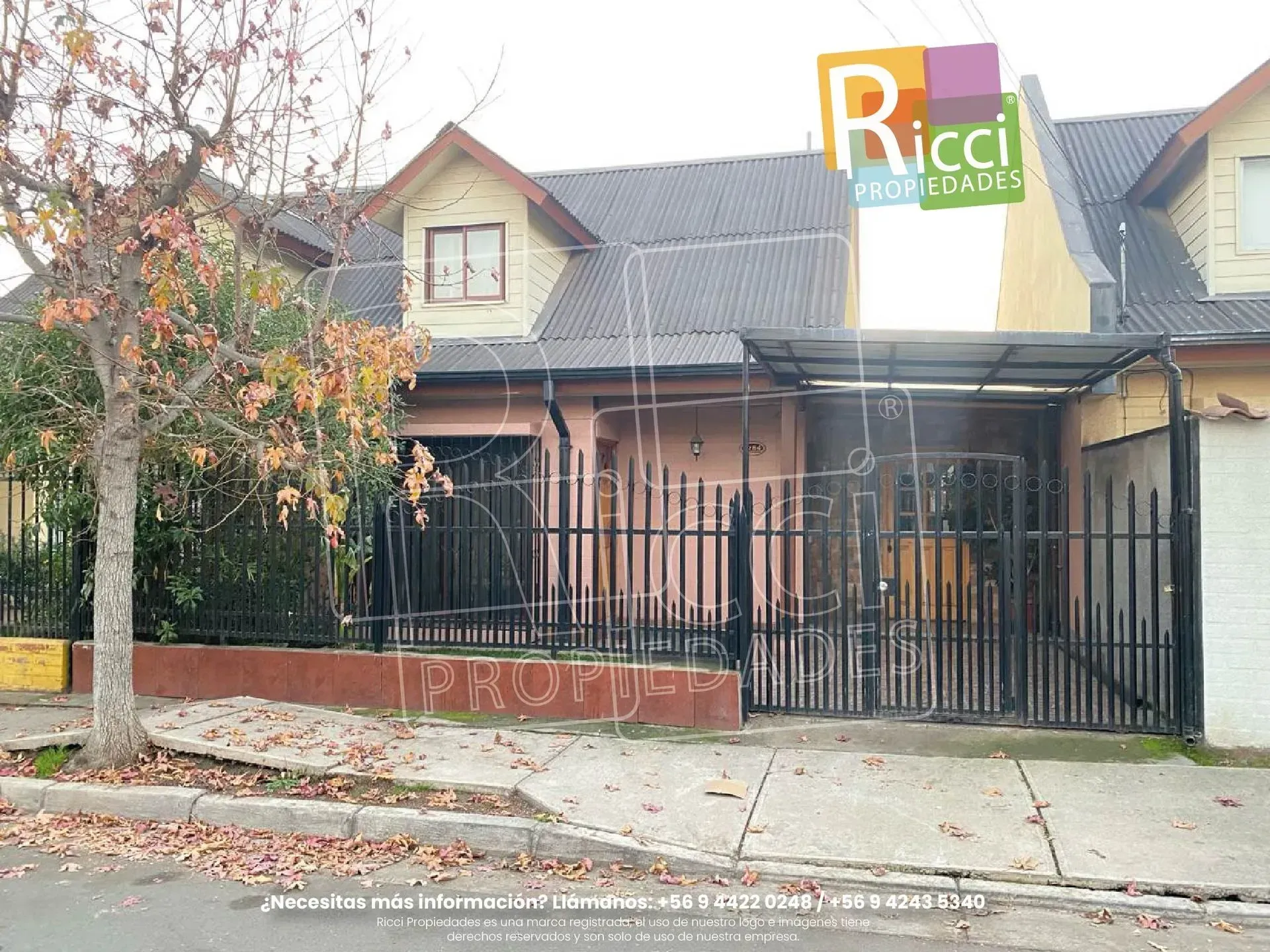 Casa pequeña con una valla negra y árboles otoñales, con un letrero colorido que dice «Ridi» sobre el tejado.