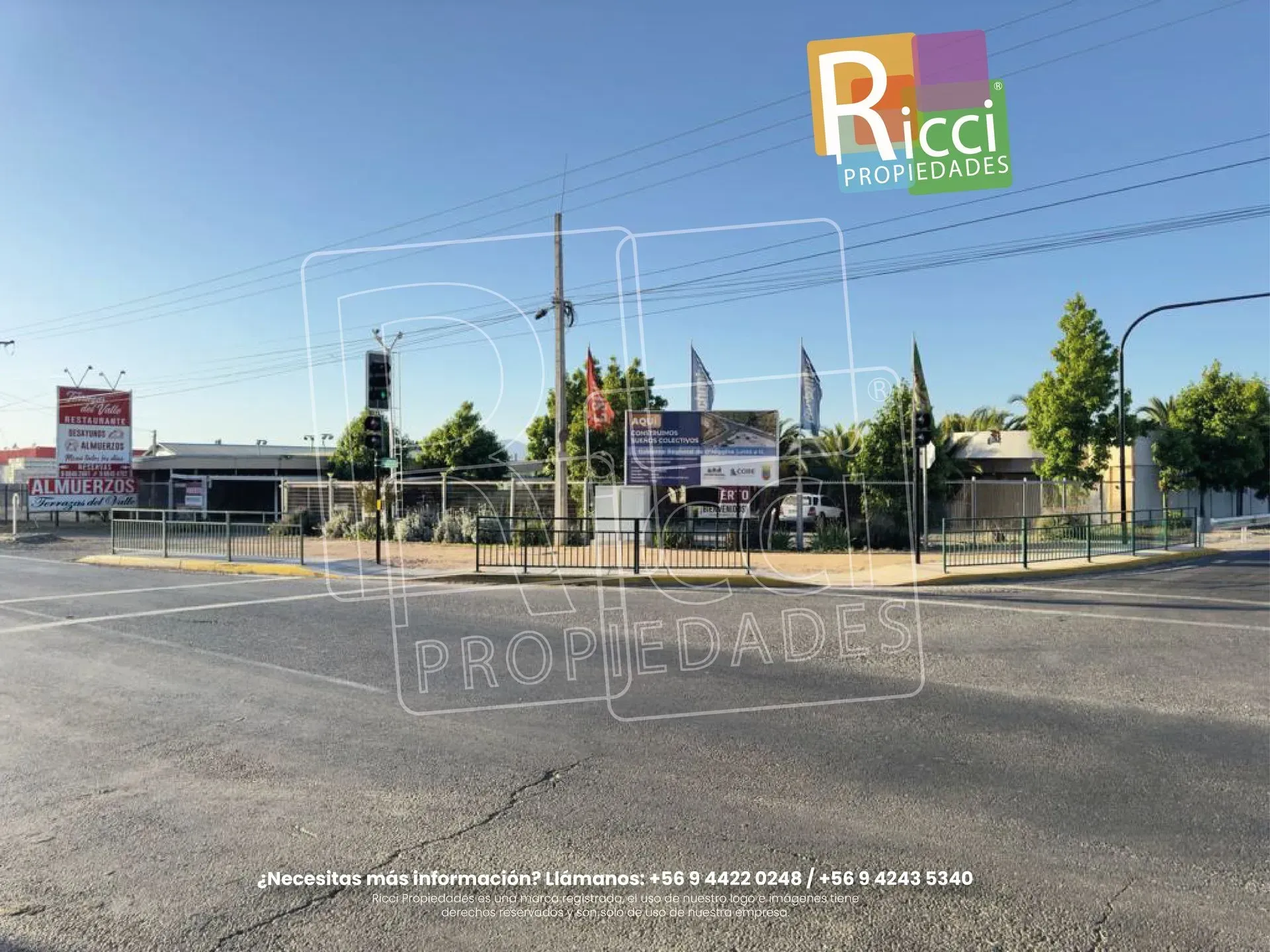 Aparcamiento frente a la escuela Ricci, con árboles, coches y un edificio bajo al fondo