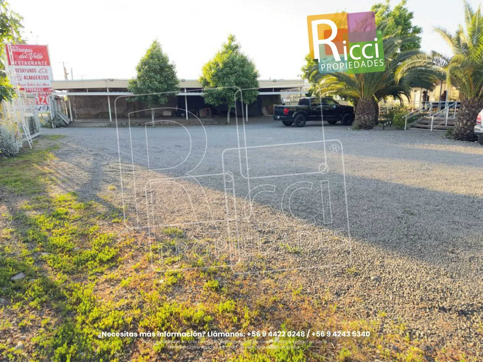 Aparcamiento frente a la escuela Ricci, con árboles, coches y un edificio bajo al fondo