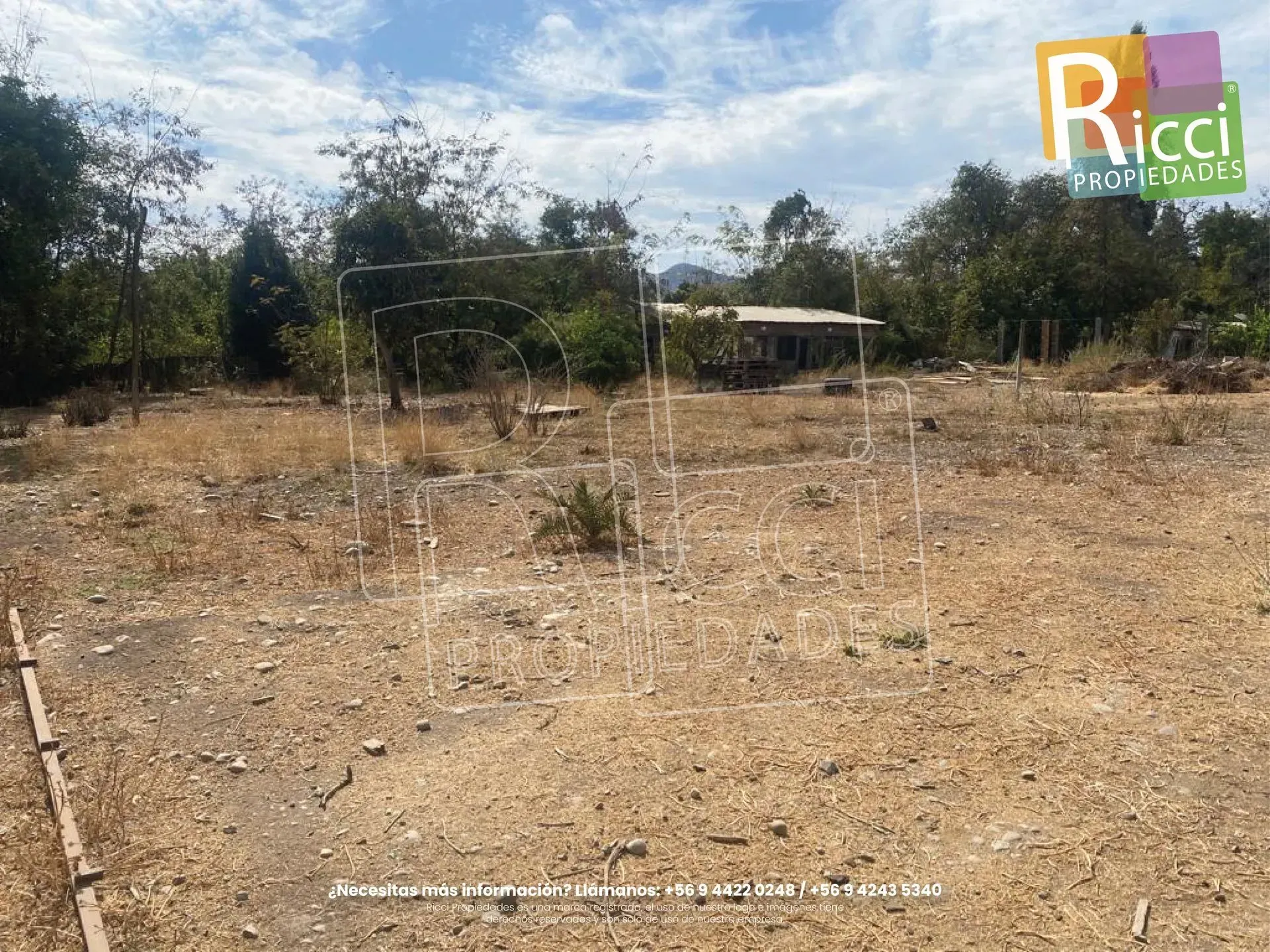 Campo abierto, seco y rocoso, con árboles dispersos y un pequeño edificio bajo un cielo parcialmente nublado.