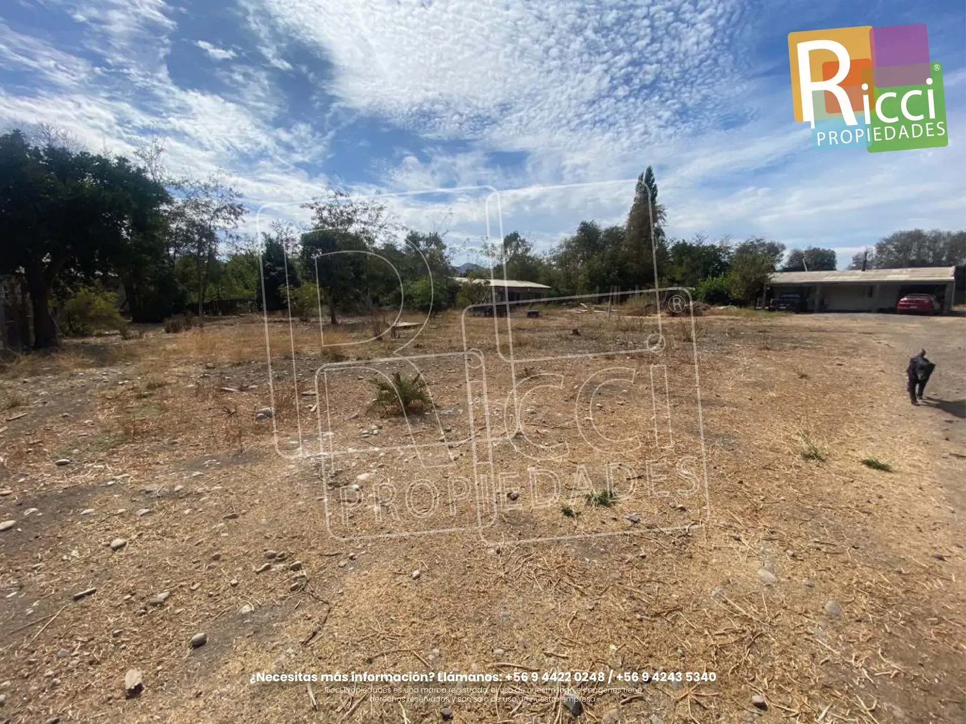 Campo abierto, seco y rocoso, con árboles dispersos y un pequeño edificio bajo un cielo parcialmente nublado.