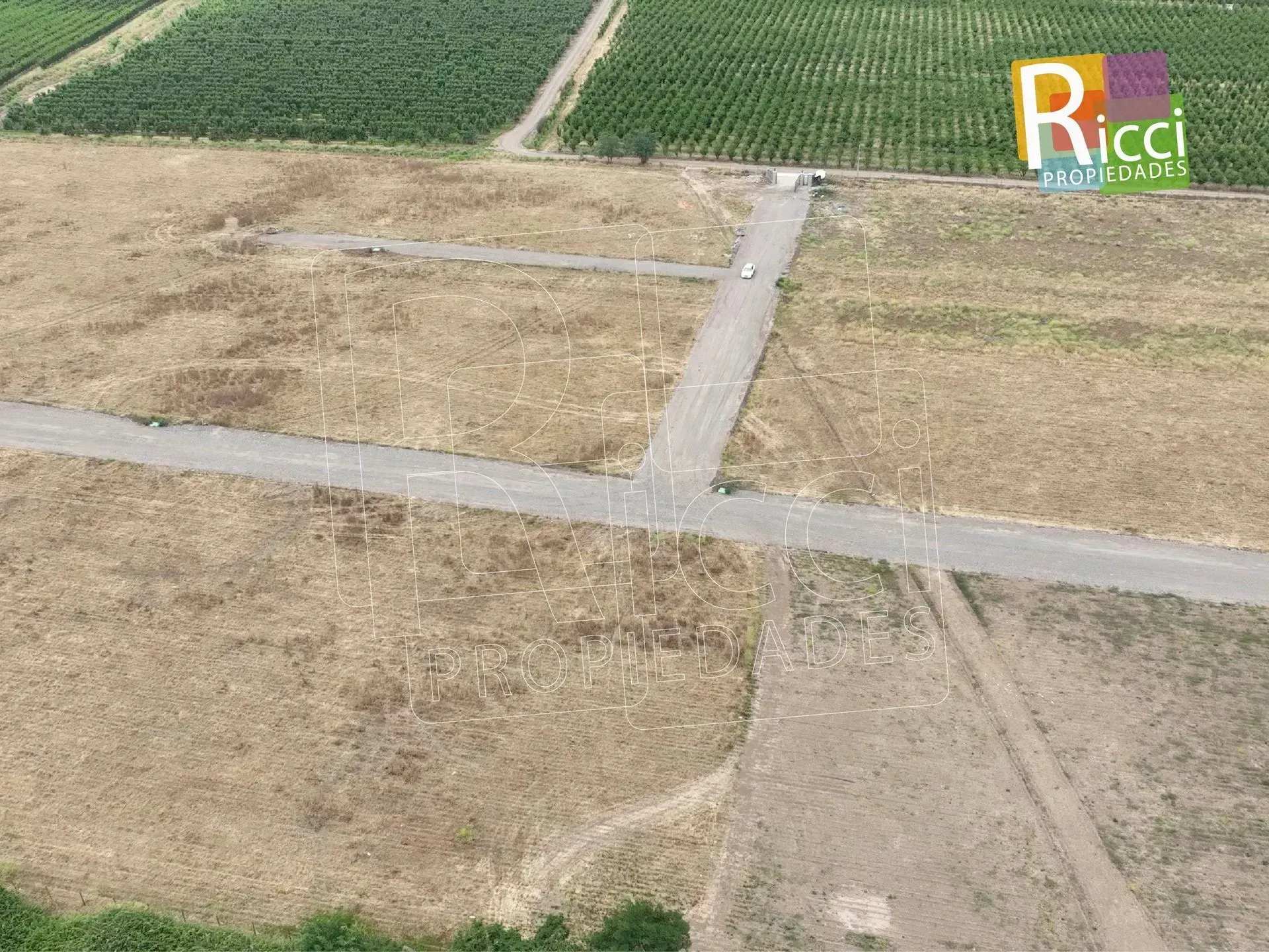 Vista aérea de un campo rural con caminos de tierra y una ladera boscosa al fondo.