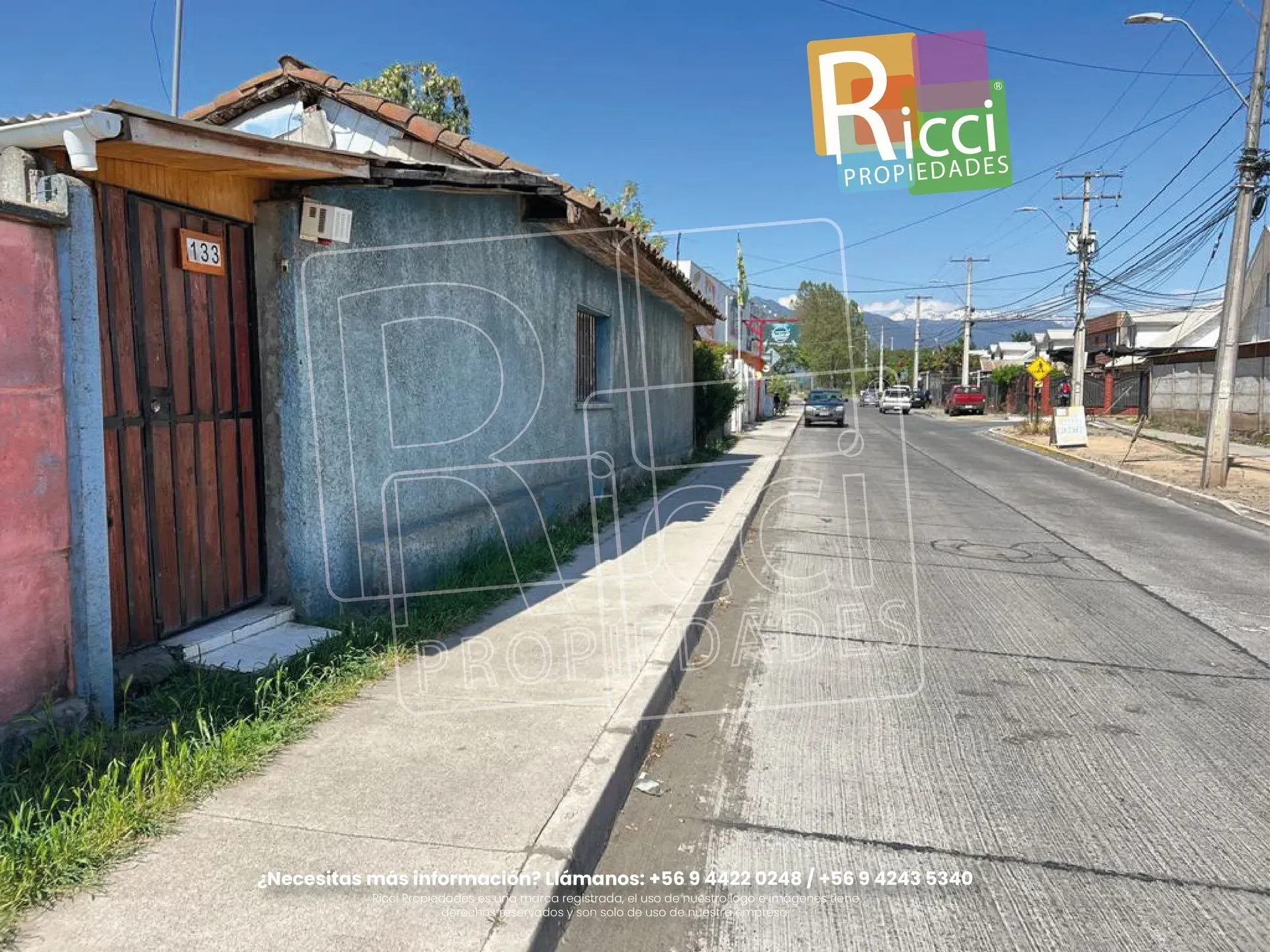 Un patio cubierto de hierba alta junto a una pequeña caseta de madera, con árboles y un cielo soleado al fondo.