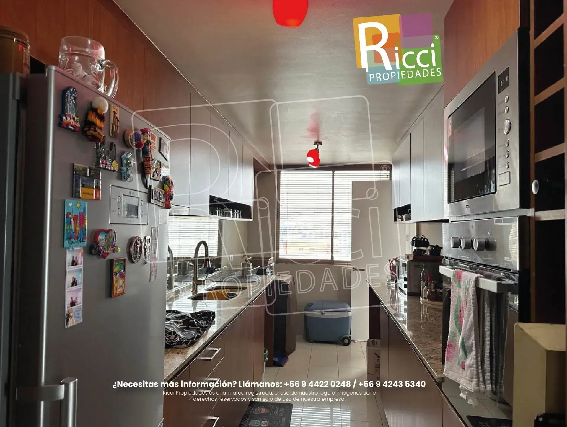 Cocina moderna con electrodomésticos de acero inoxidable, armarios blancos y una ventana grande al fondo.