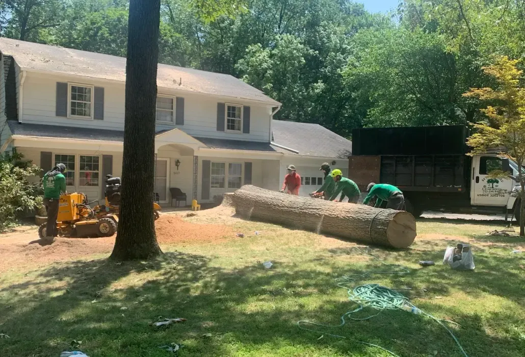 About AX Tree Services LLC About AX Tree Services LLC