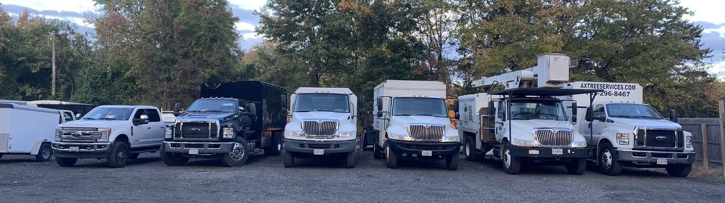 Vienna Tree Services