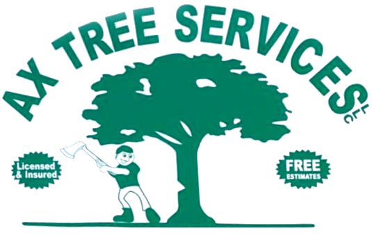 AX Tree Services LLC | Tree Service in Vienna, VA AX Tree Services LLC | Tree Service in Vienna, VA