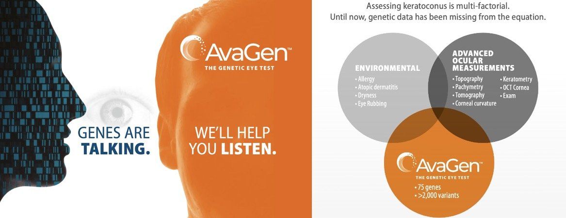 AvaGen infographic