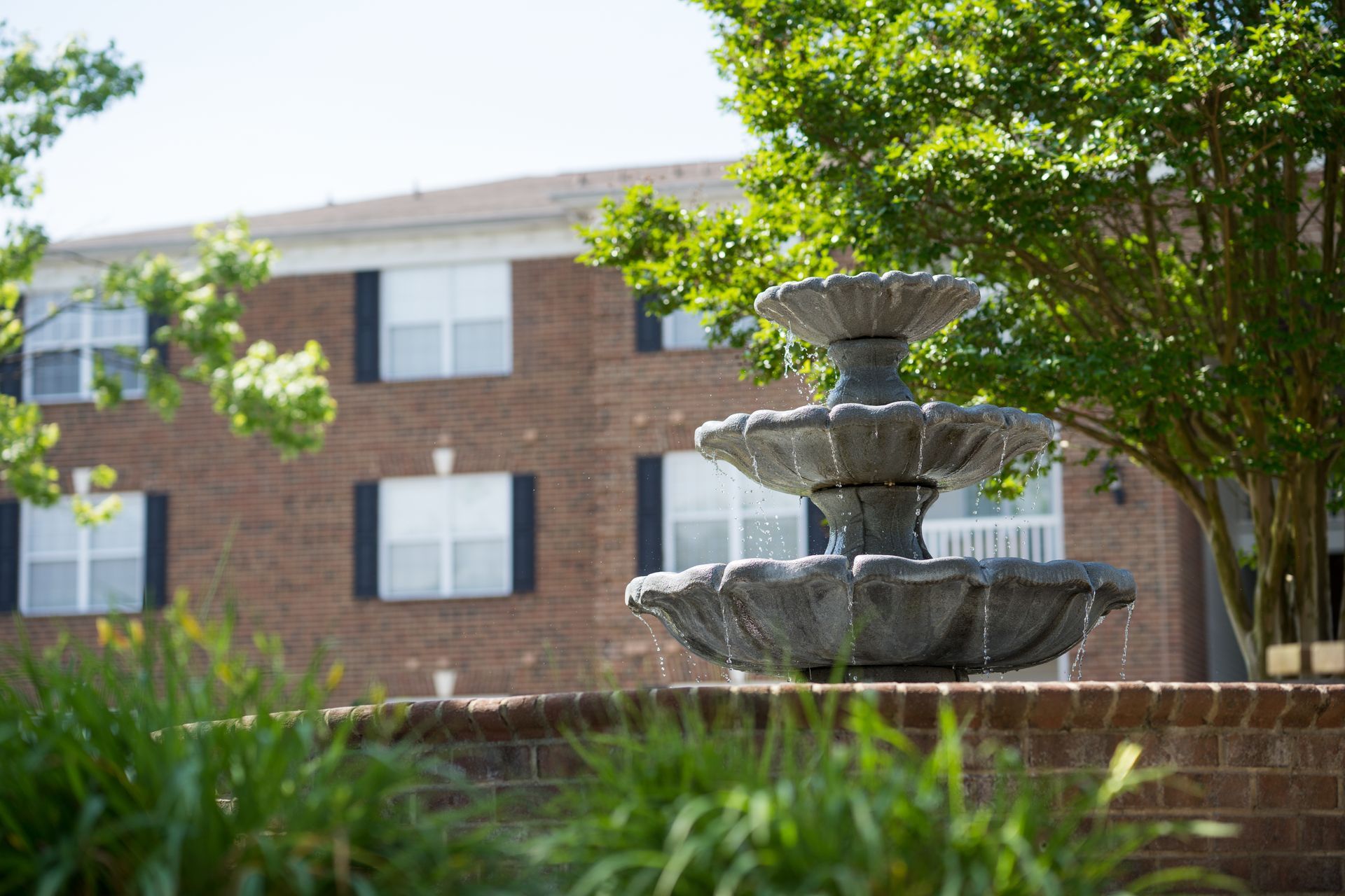 fountain