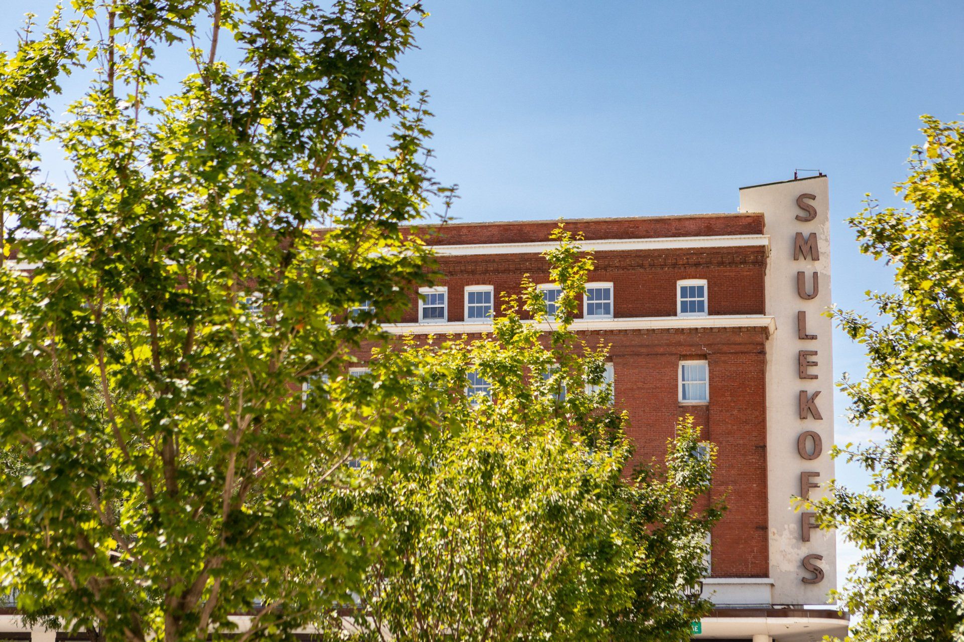 Alternate exterior view of building with large green tree in front