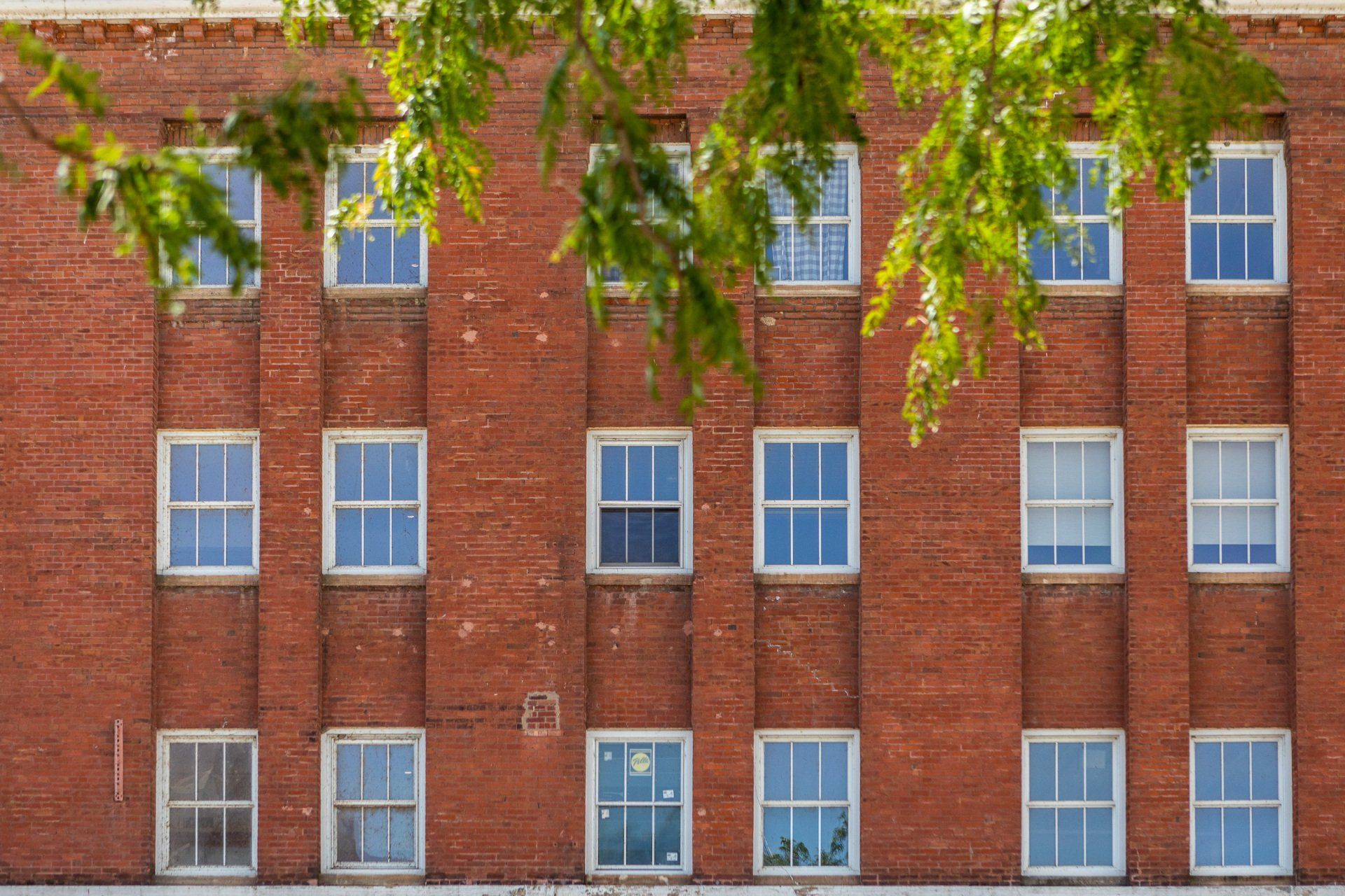 Exterior of brick building with white windows and tree overhanging