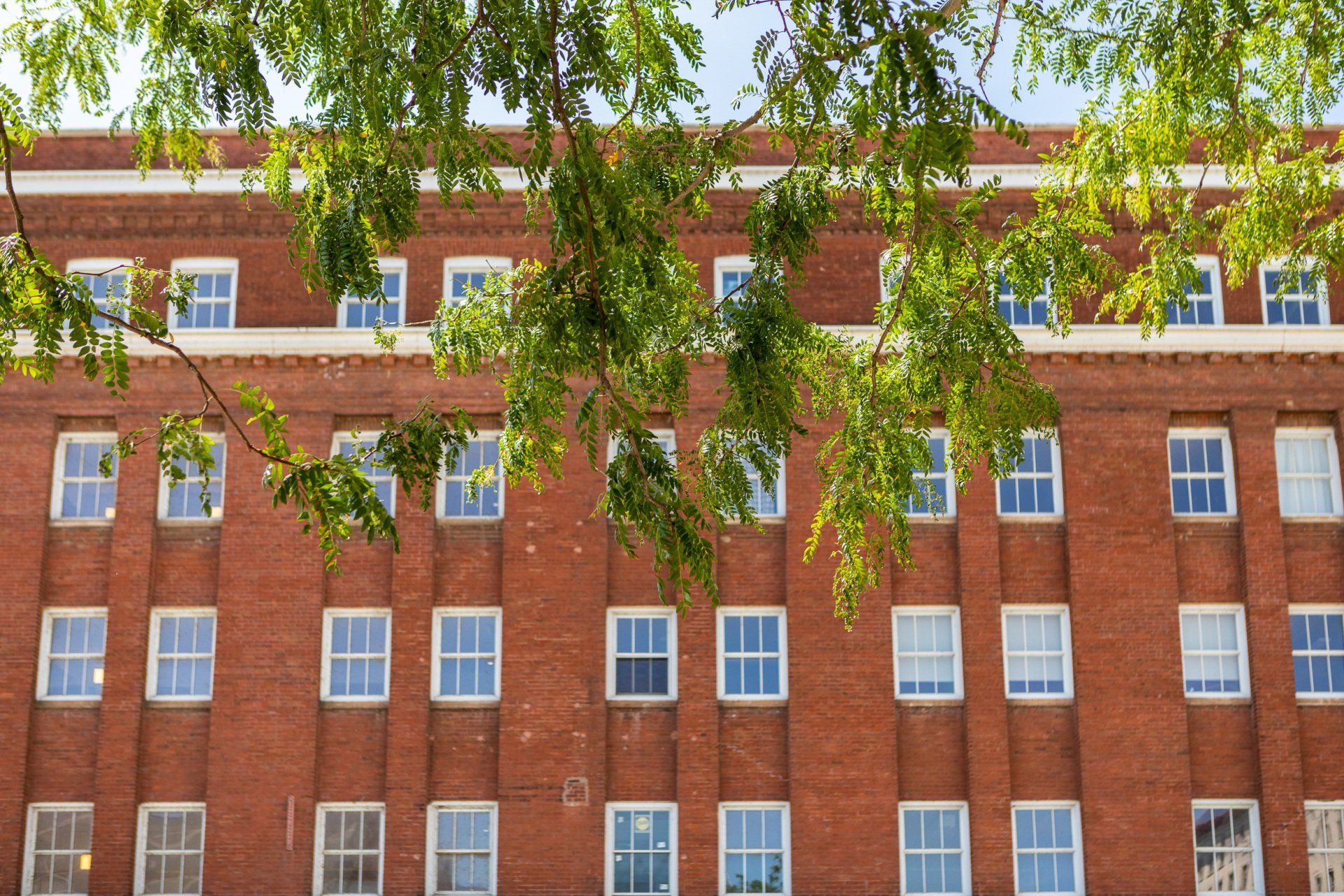 Exterior of building with tree in center top of frame