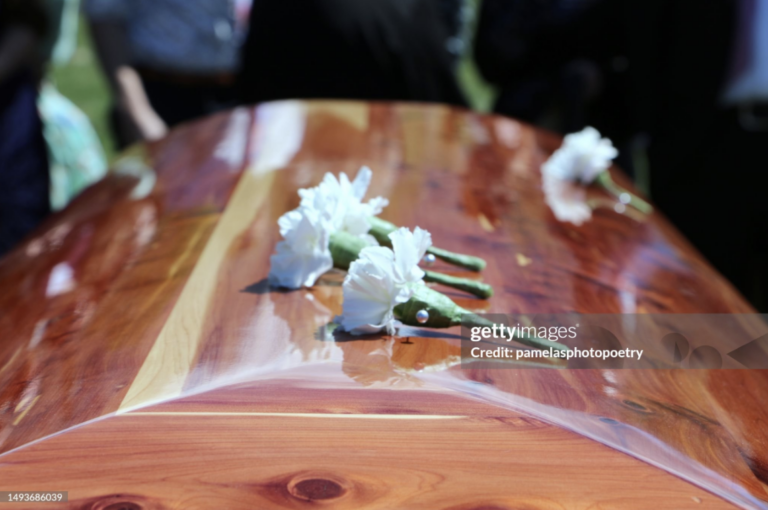 White berries and dried grasses arranged on a dark wooden table