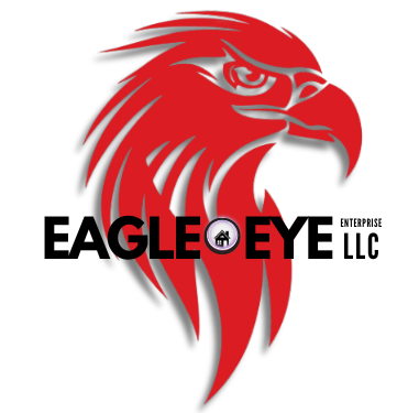 Eagle Eye Enterprises, LLC Logo