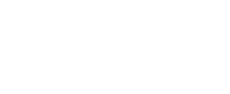 Company Logo - Footer