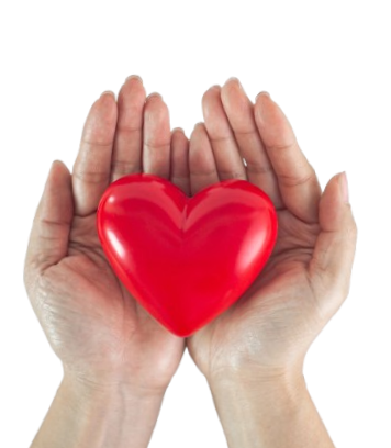 Mani giunte a coppa, che tengono un cuore rosso vivo.
