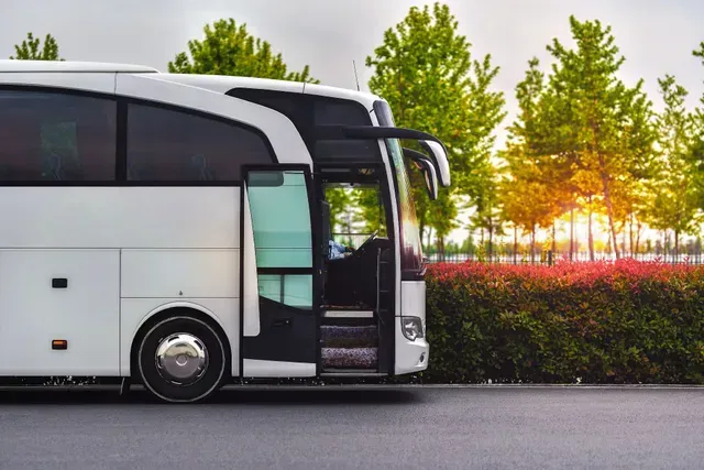 Un autobús blanco estacionado al borde de la carretera al atardecer, junto a árboles verdes y flores rosas.