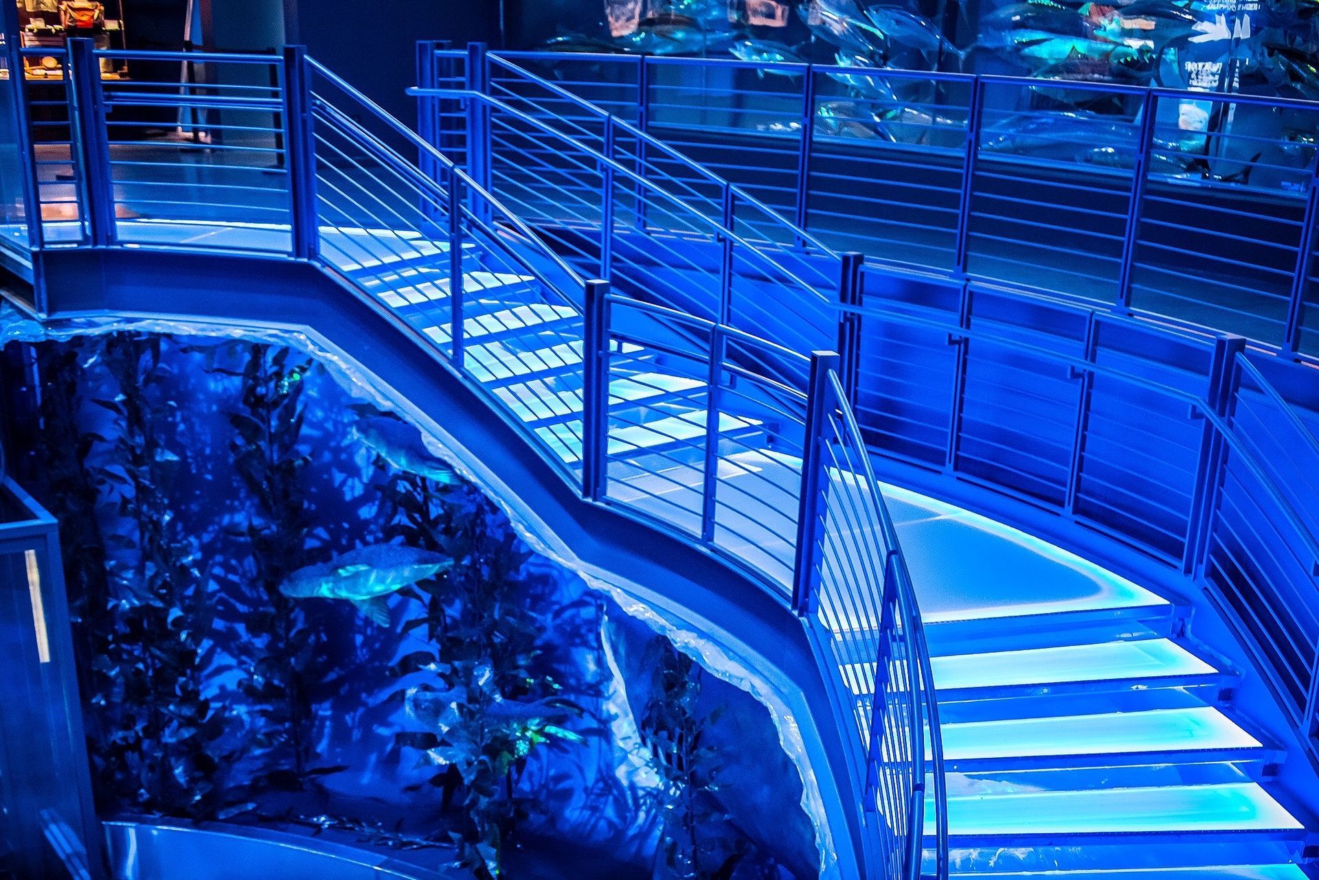 glass staircase at bass pro shop headquarters
