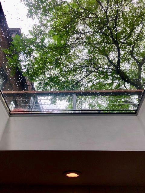 View up to a leafy green tree canopy beyond a glass-railed opening and a lit ceiling light below