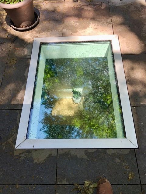 Glass-covered ground window reflecting trees and sky on a paved patio, with a potted plant nearby