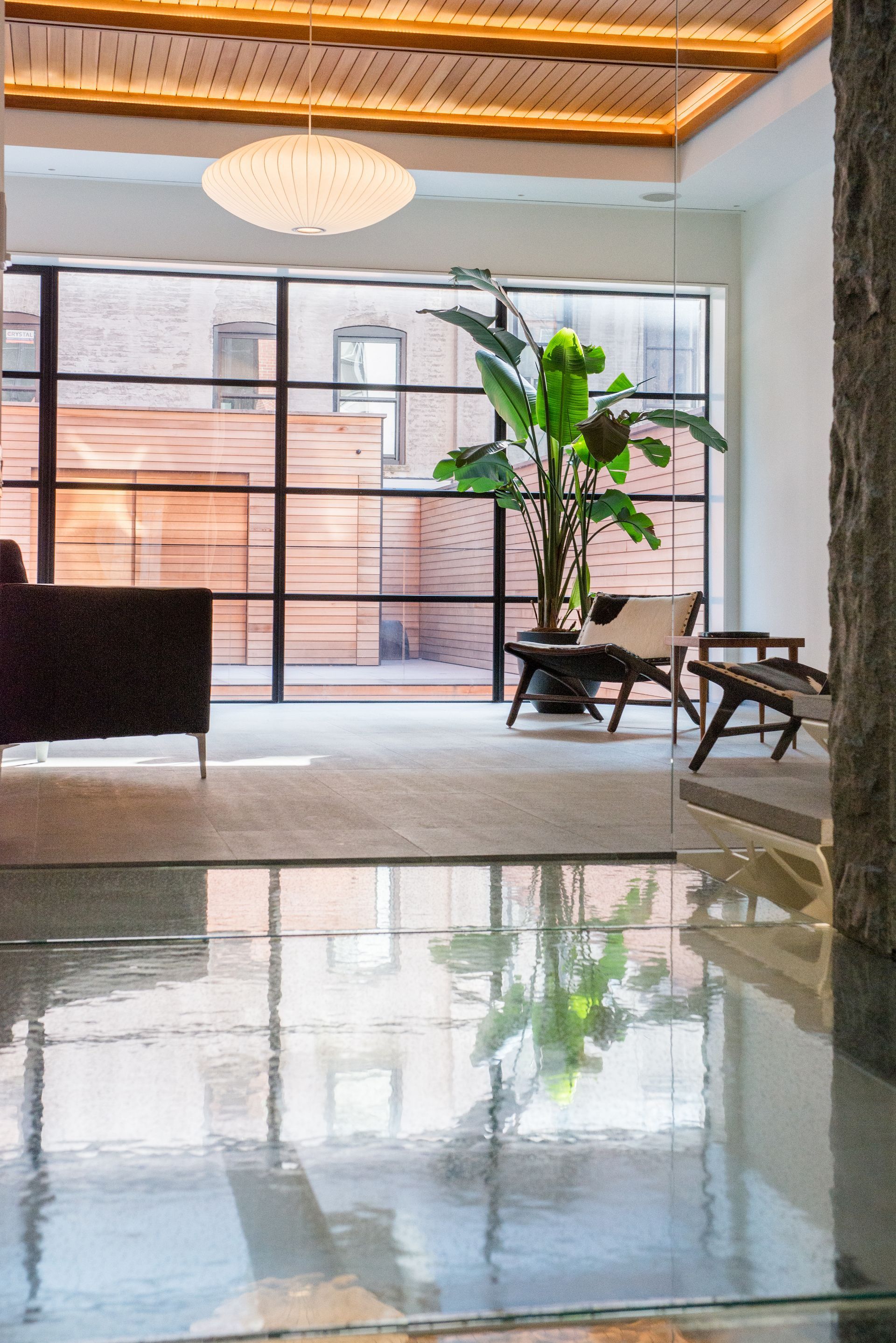 Modern living room with large windows, glossy floor, potted plant, and woven chairs