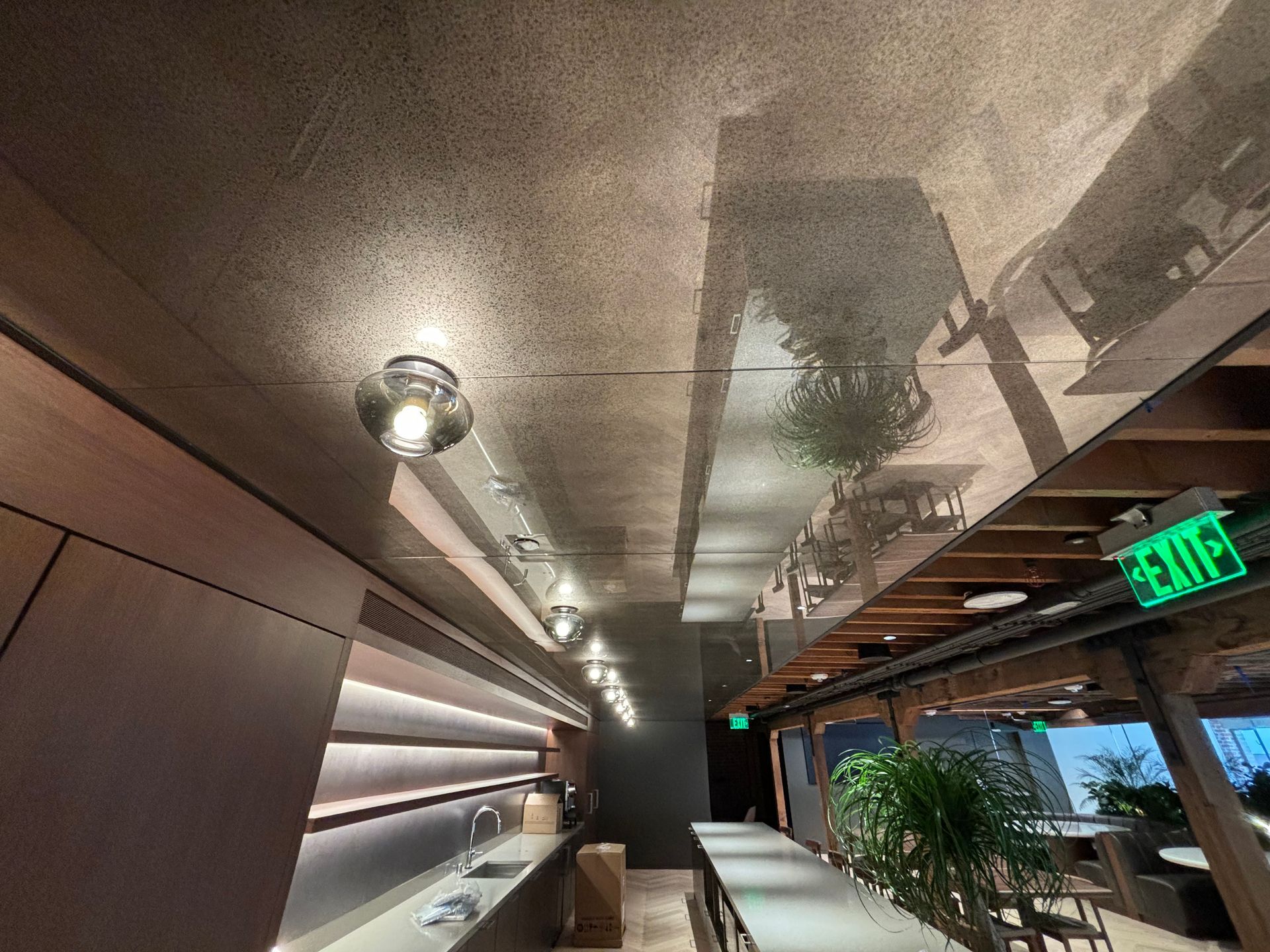 Modern hallway with ceiling lights, wood-paneled wall, hanging plants, and EXIT sign near windows
