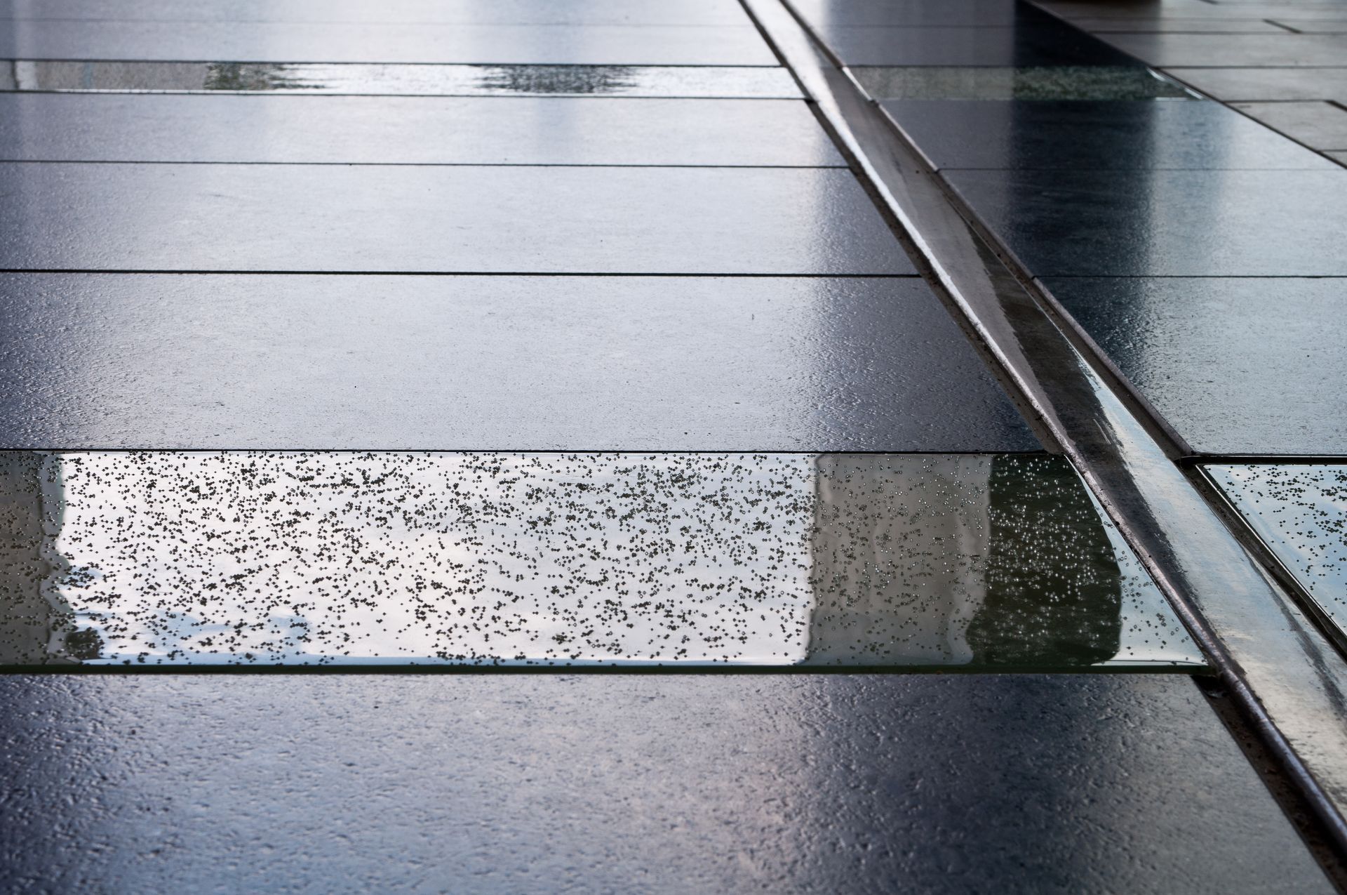A wet tiled walkway with a speckled stone step and metal railings on the right.