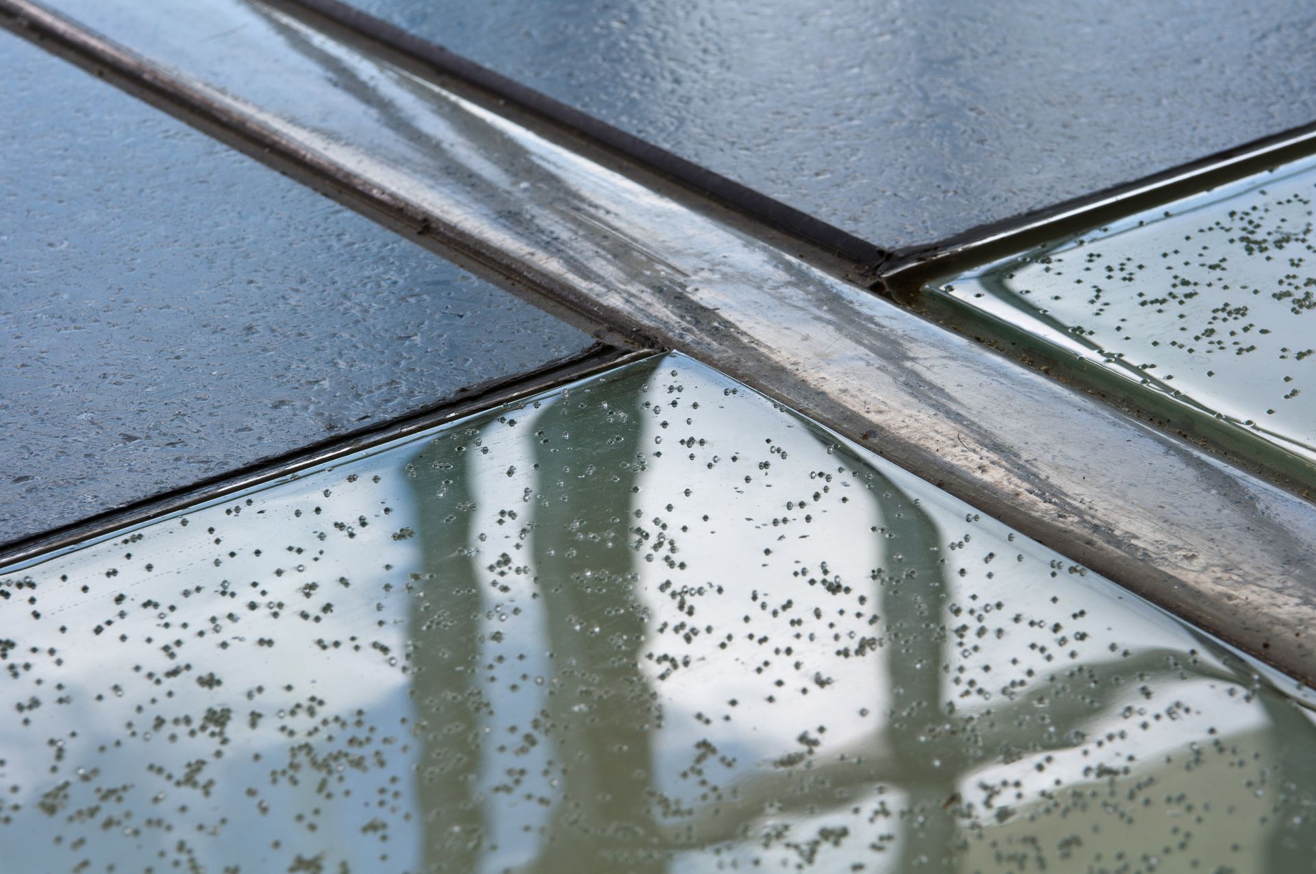 Rain-speckled glass roof with metal beams and reflected window frames