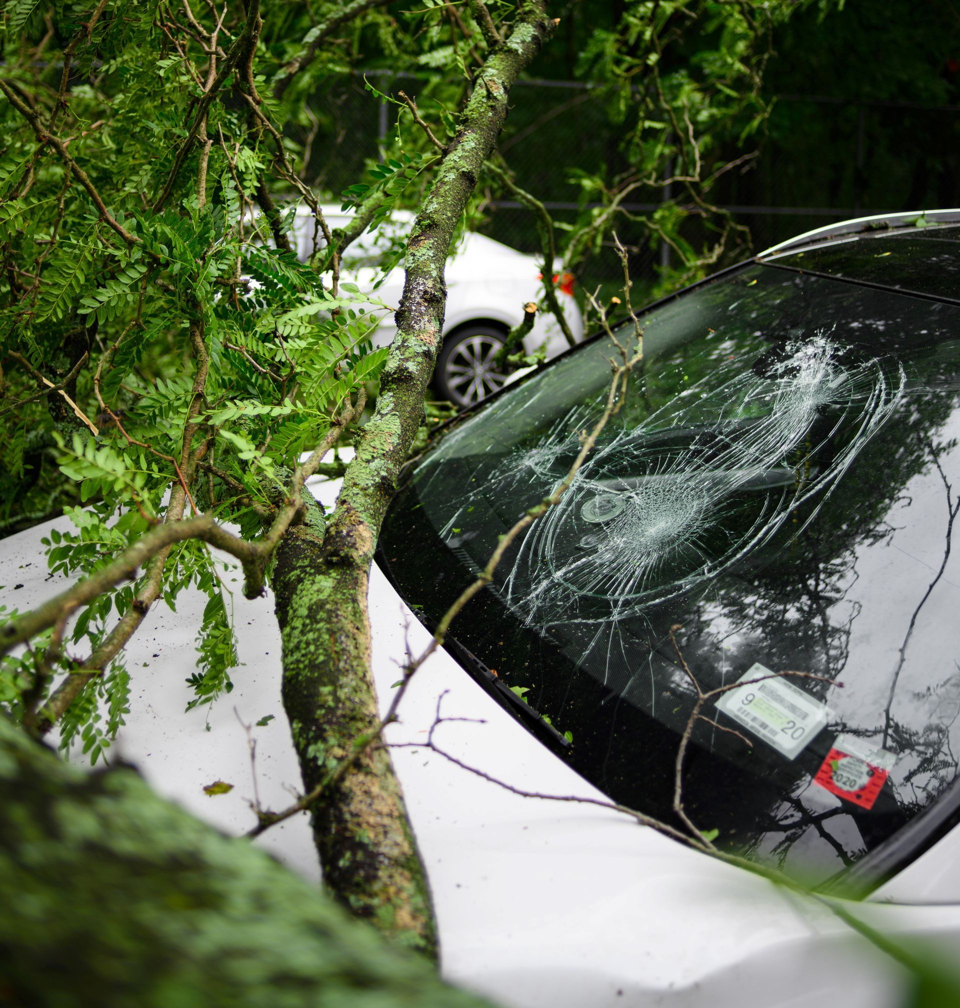 A car with a smashed windshield. A car with a smashed windshield.