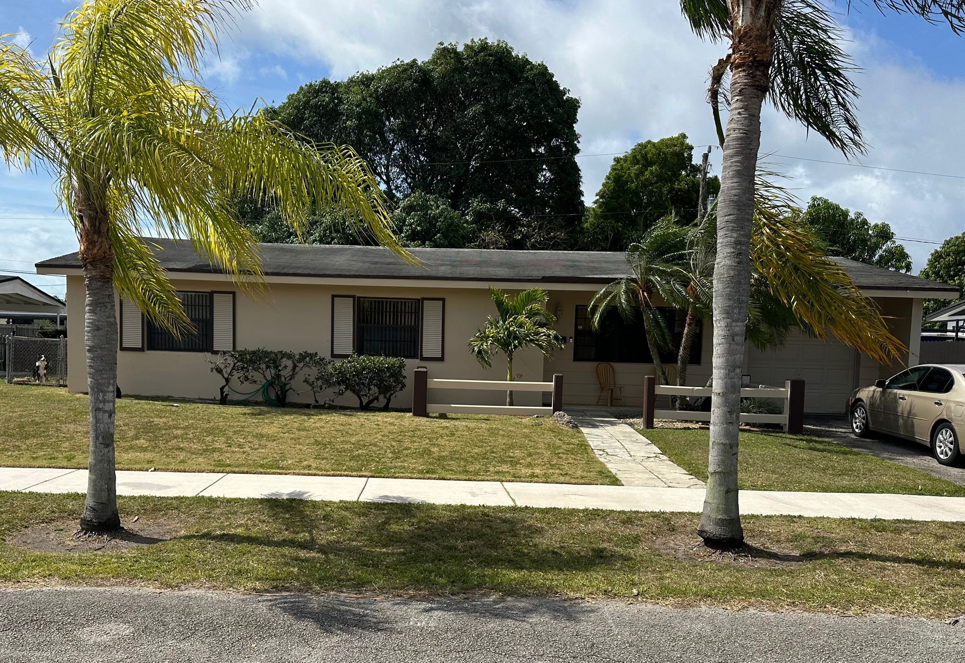 A single-story, beige stucco house with a gray roof, front lawn, and two tall palm trees, viewed from the street.