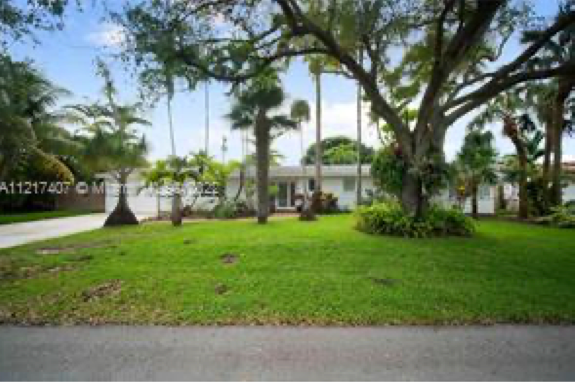 A white, single-story house surrounded by palm trees and a large, leafy tree, set behind a green front lawn.