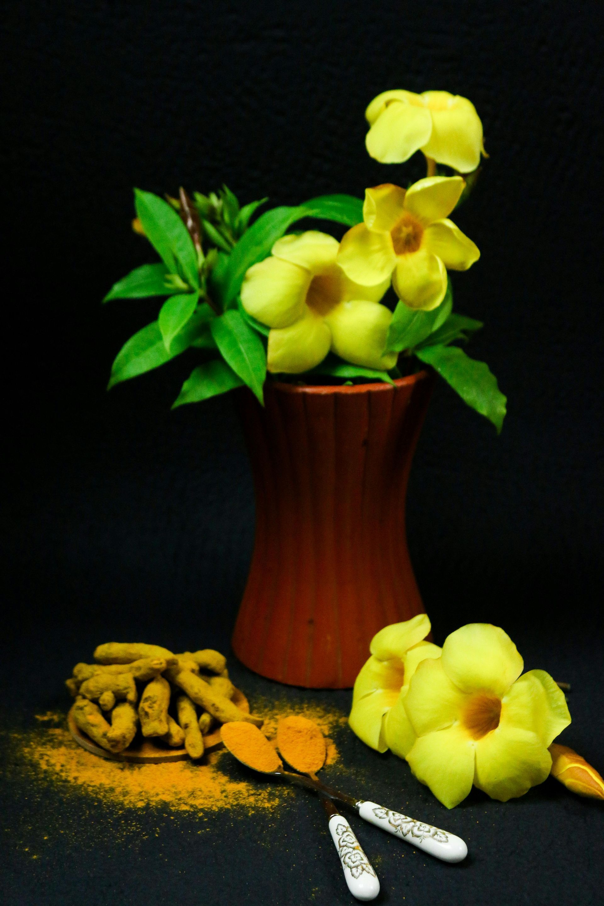 Yellow flowers in a brown vase, turmeric roots and powder on a black background.