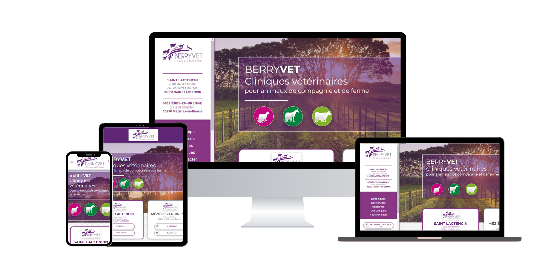 Site internet starter de la clinique vétérinaire Berryvet , réalisé par Adévet