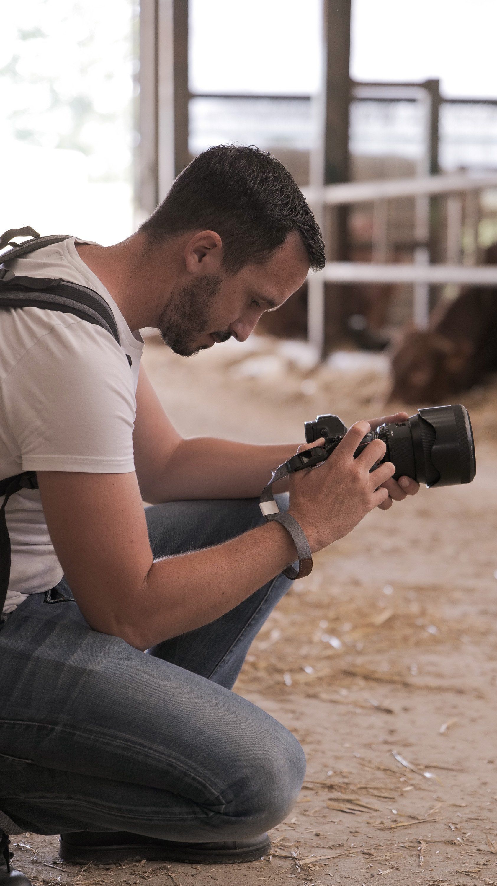 Shooting photo vétérinaire