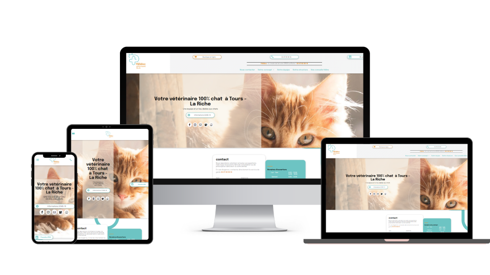 Site internet starter de la clinique vétérinaire de Villebois-Lavalette, réalisé par Adévet