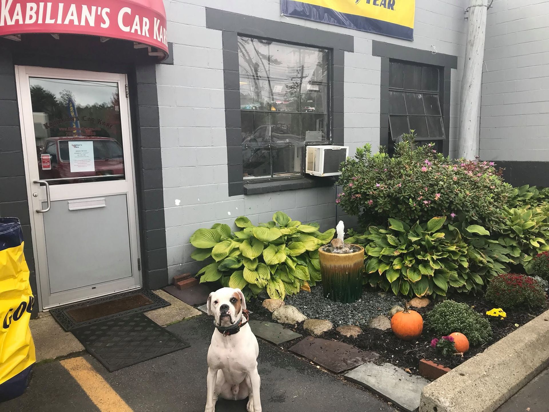 Shop Exterior With Dog Outside Auto Repair Facility | Kabilian's Car Kare