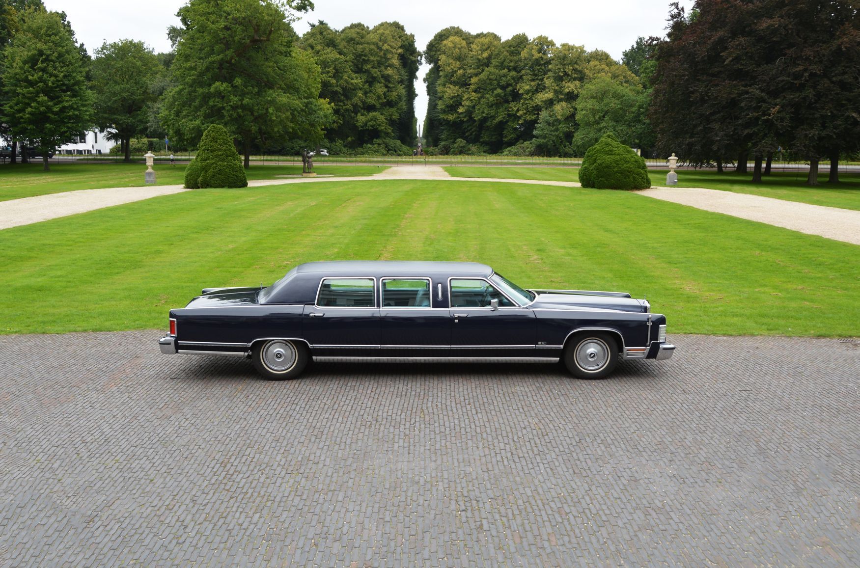 een zwarte limousine staat geparkeerd voor een weelderig groen veld