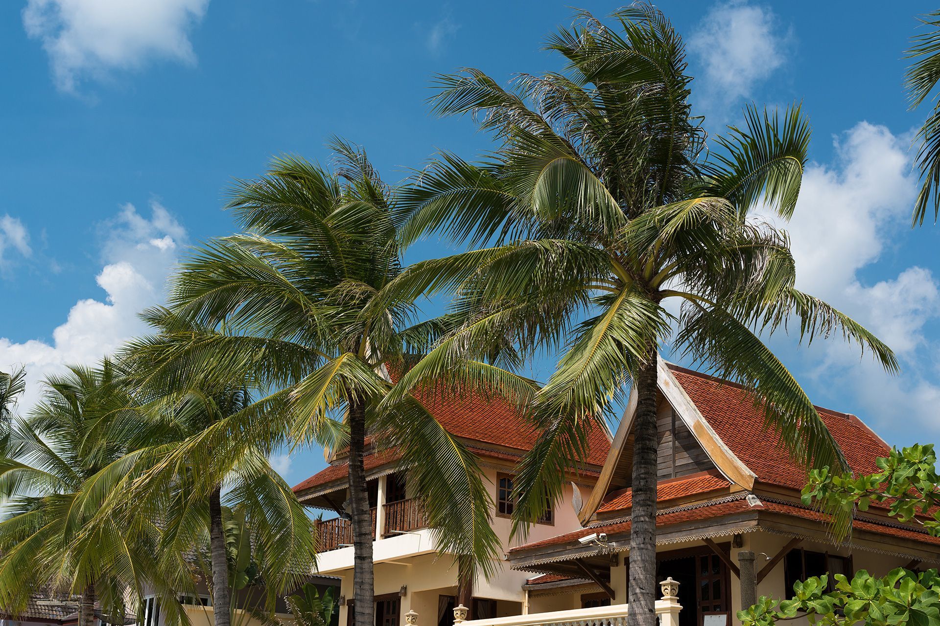 Wind Mitigation Checklist