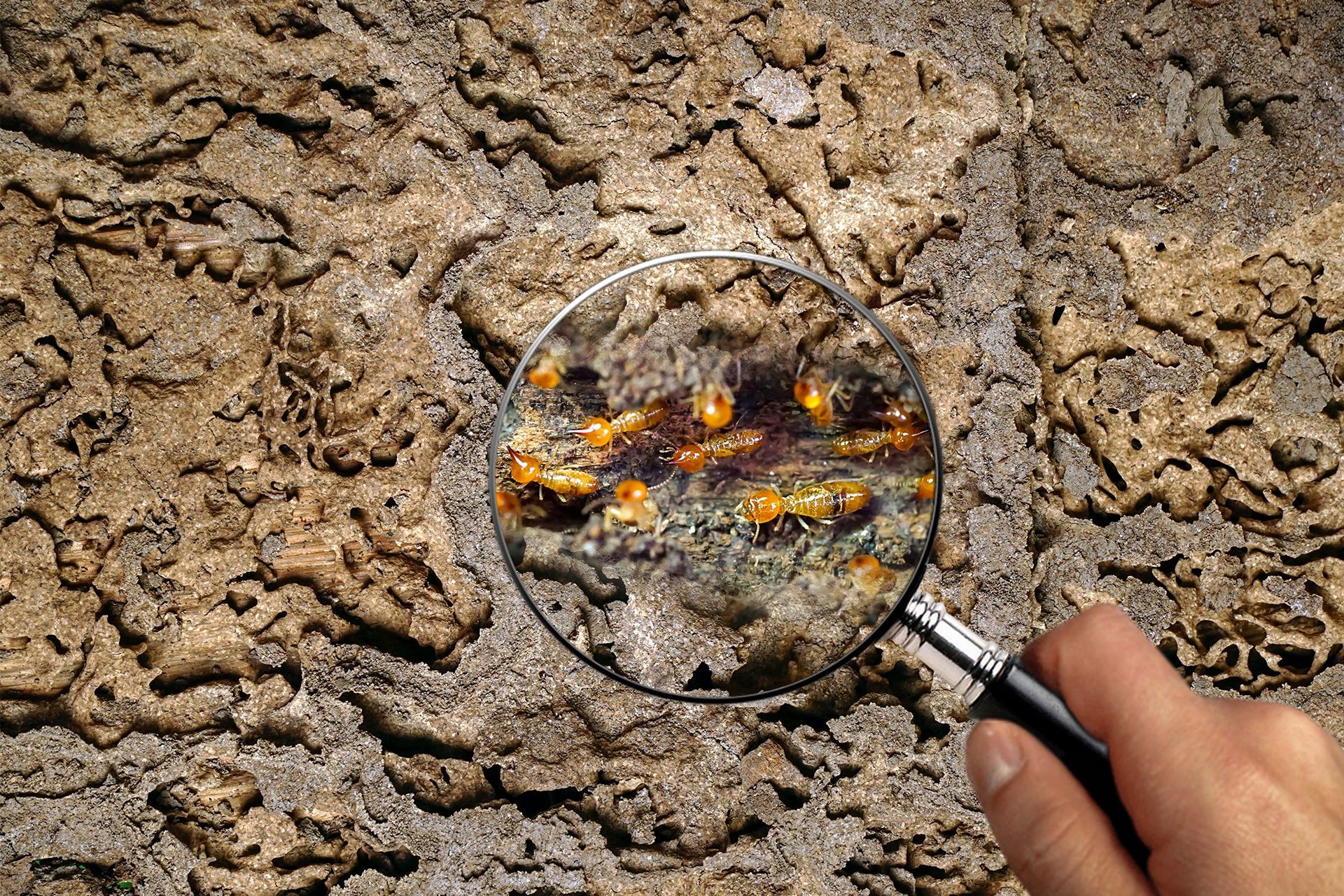 Magnifying glass over cracked, dry soil with glowing embers beneath the surface