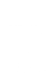 Northeastern Chimney Solutions Northeastern Chimney Solutions