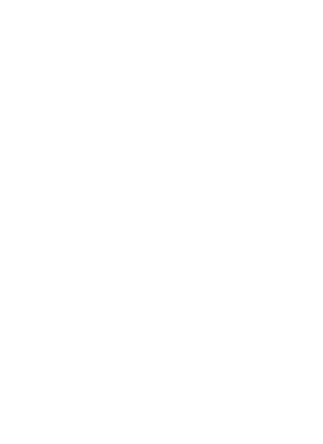 Northeastern Chimney Solutions Northeastern Chimney Solutions