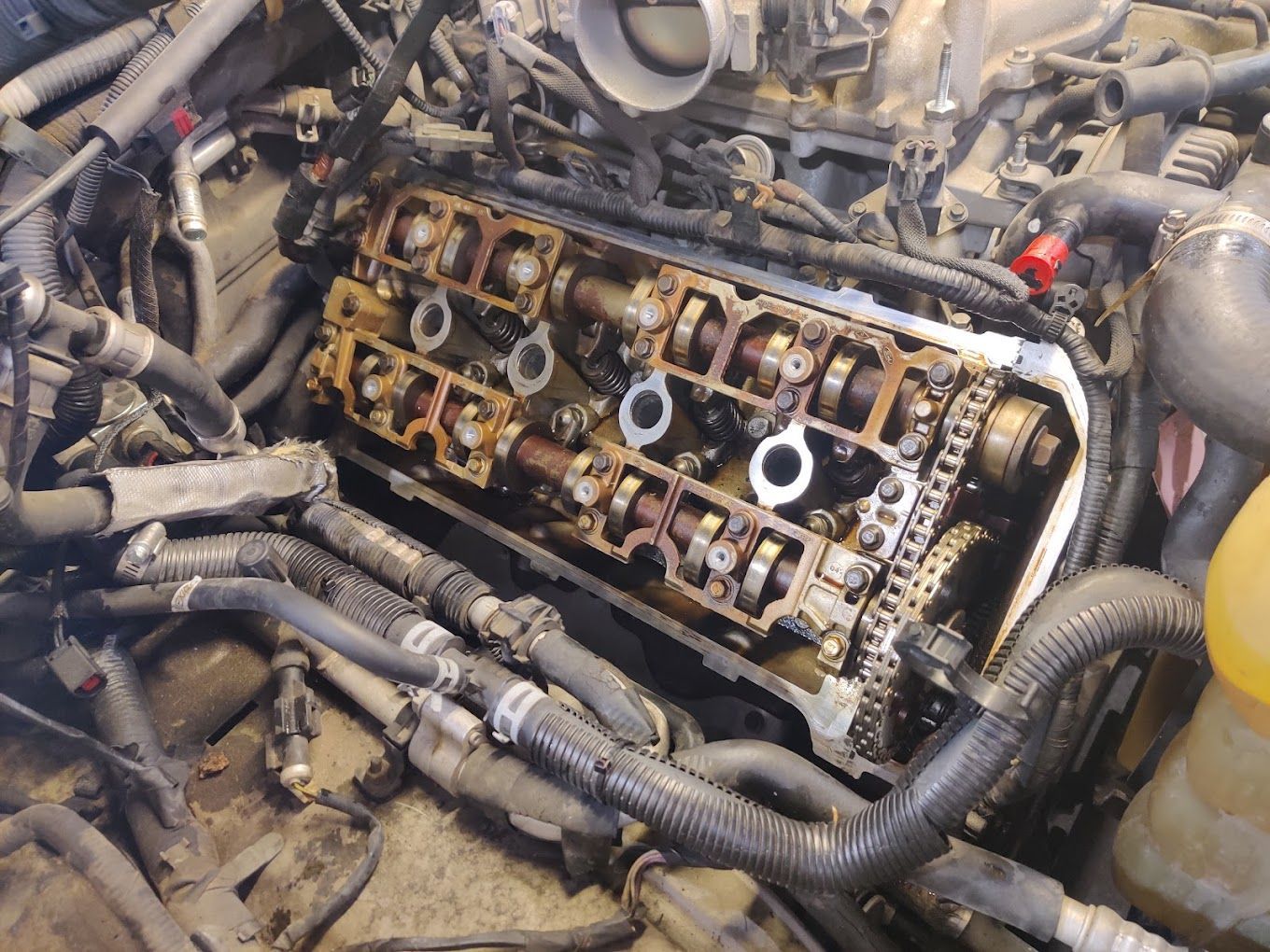 Car engine with the valve cover removed, showing camshafts and timing chain. | Freedom Auto Repair