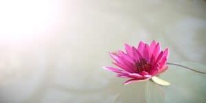 Direct cremation in Yukon OK