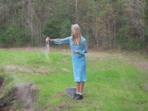 Scatter Cremation Ashes 300x225 1920w