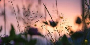 Direct Cremations In Yukon OK 300x150 1920w 05
