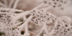 direct cremations in Yukon, OK