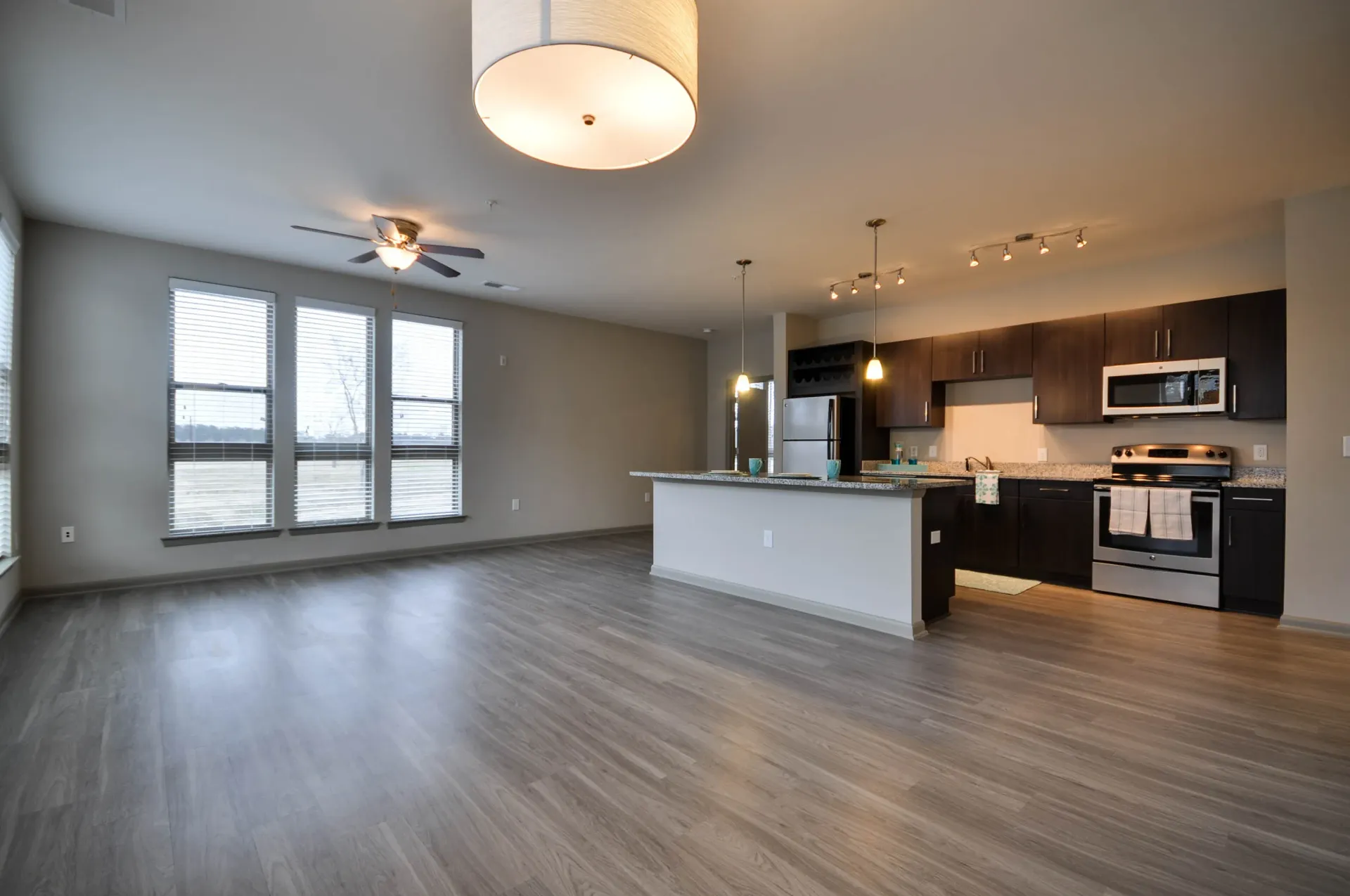 Spacious open-concept living area and kitchen with modern appliances and island.